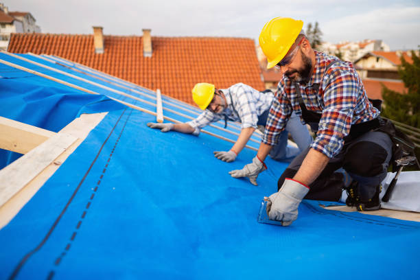 Best Roof Waterproofing Services  in Pingree Grove, IL