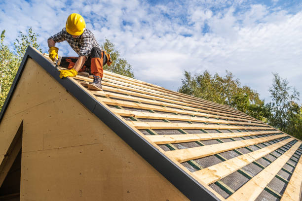 Best Roof Gutter Cleaning  in Pingree Grove, IL